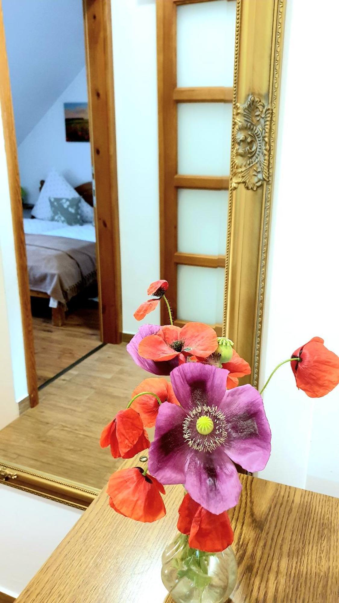 Titi Boutique