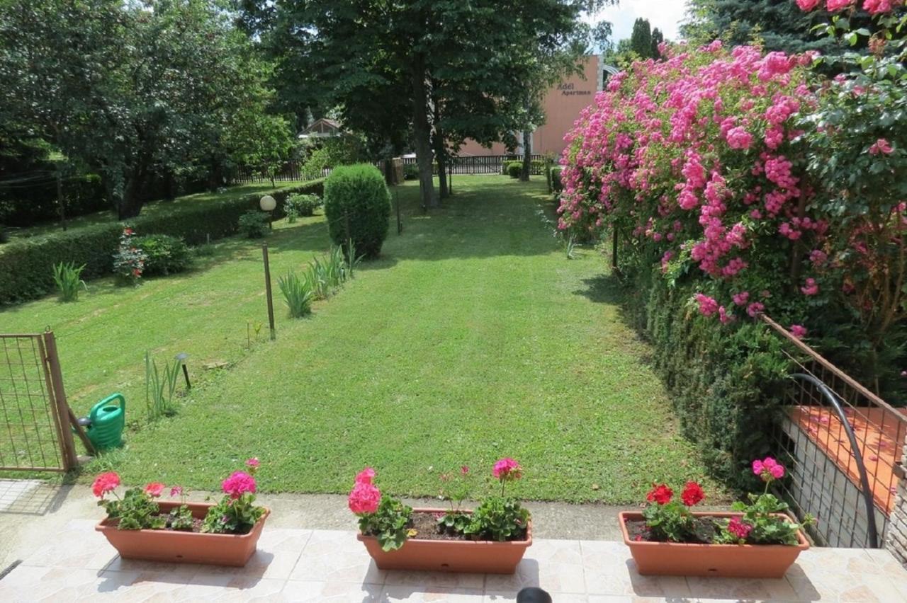 Titi Boutique Hébergement de vacances
